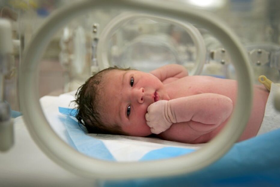 bebé, nascimento, incubadora