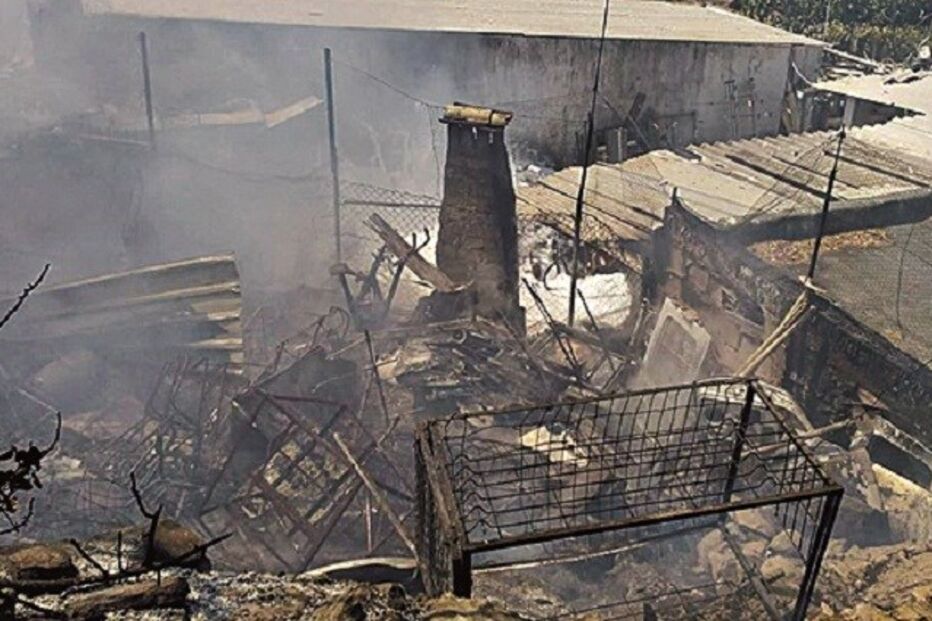 21-08-2015_01_34_04 Imagem alg10b.jpg