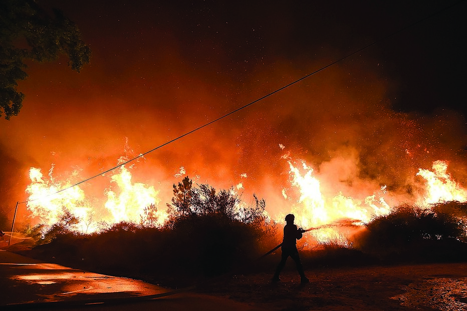 Menores incendeiam floresta para ver arder 