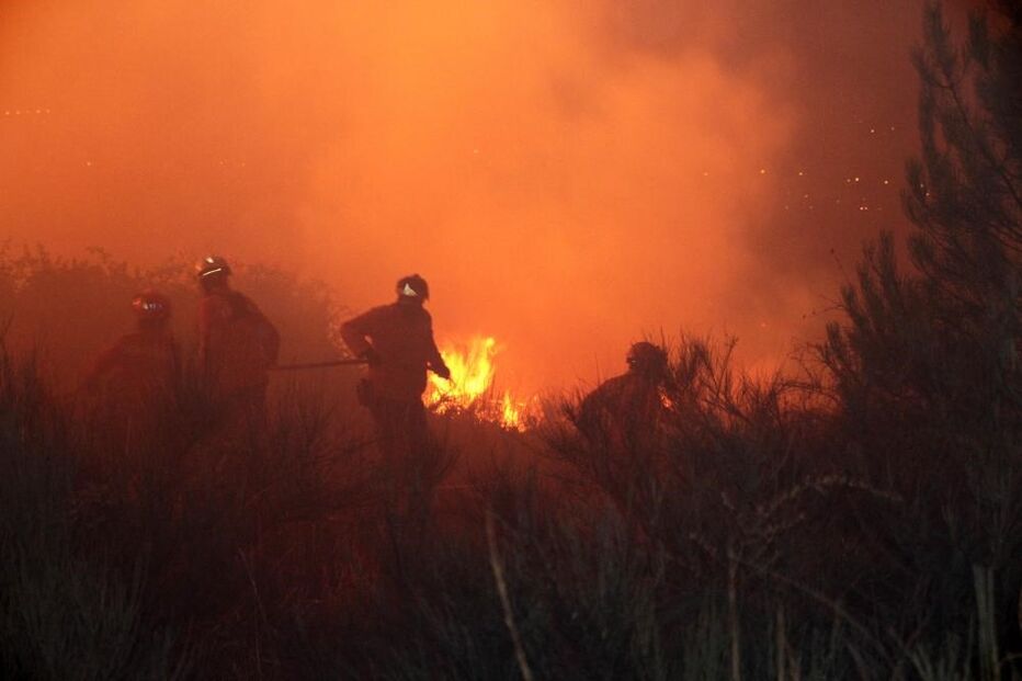 incêndios, Vila Real, operacionais, meios aéreos, Autoridade Nacional de Proteção Civil