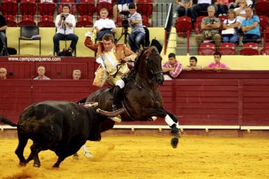 22-08-2015_20_00_43 2489550.JPG