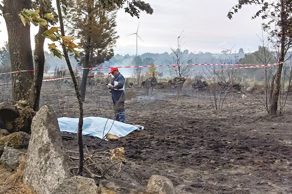 Morre queimado a salvar ovelhas 