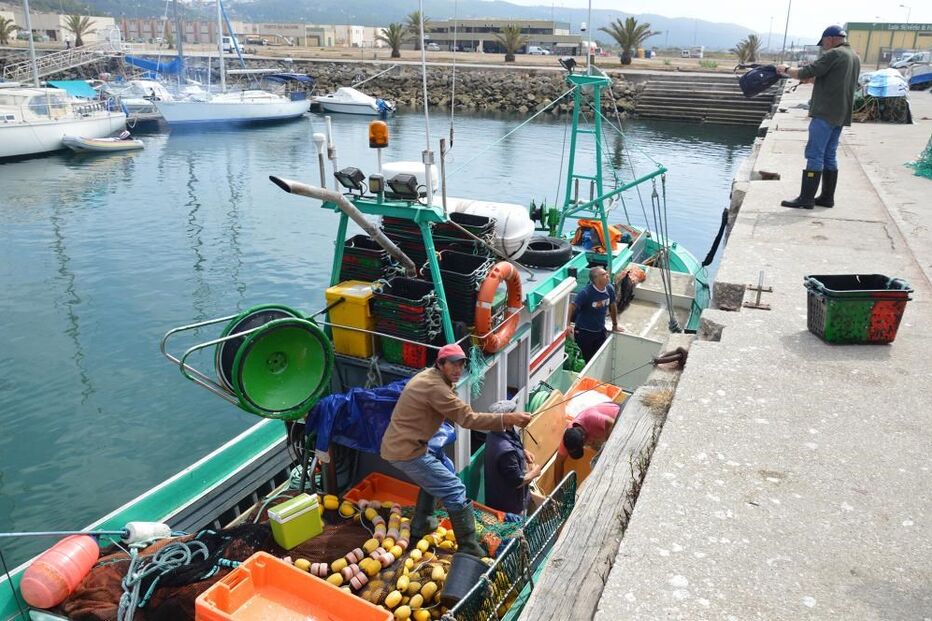 23-08-2015_03_13_53 10542328.JPG