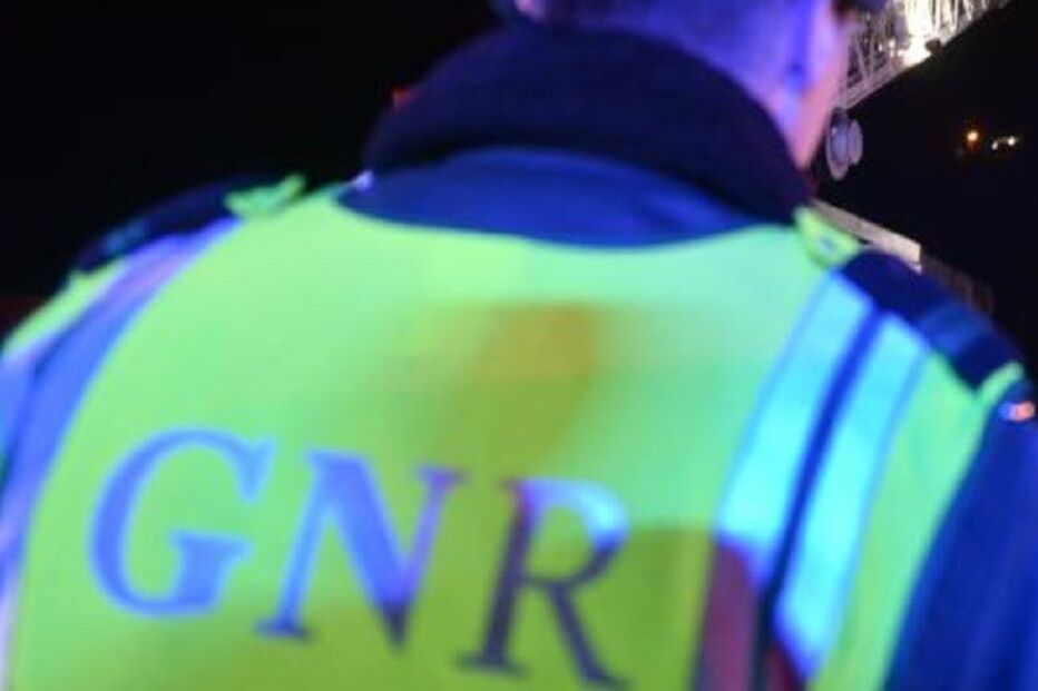 24-08-2015_03_20_01 9781646.JPG