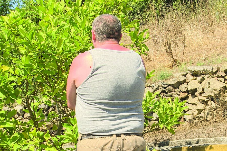 25-08-2015_01_01_27 Imagem 13a.jpg