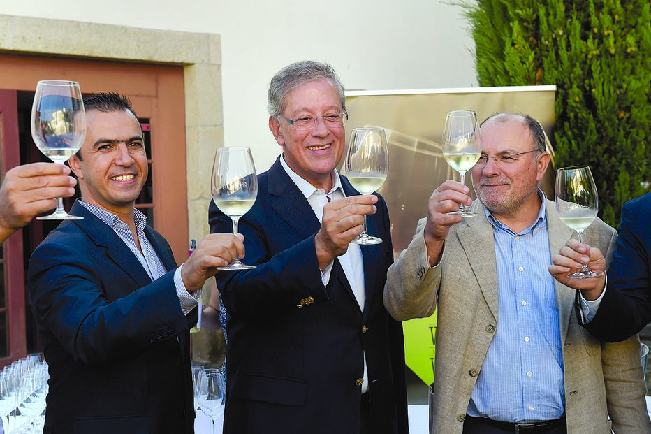 Vindimas do Dão vão ser em festa 