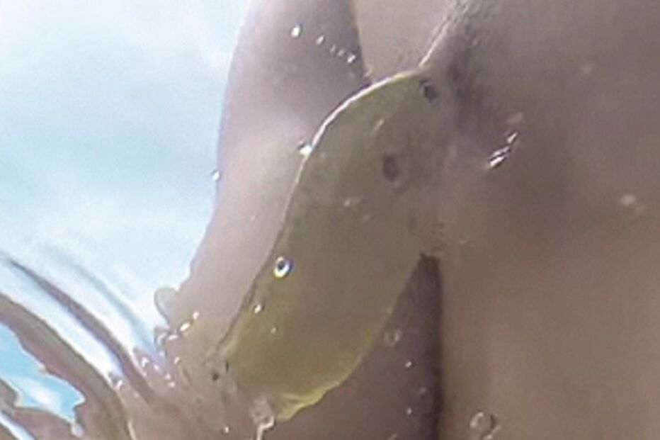 27-08-2015_00_27_57 ml peixe.jpg