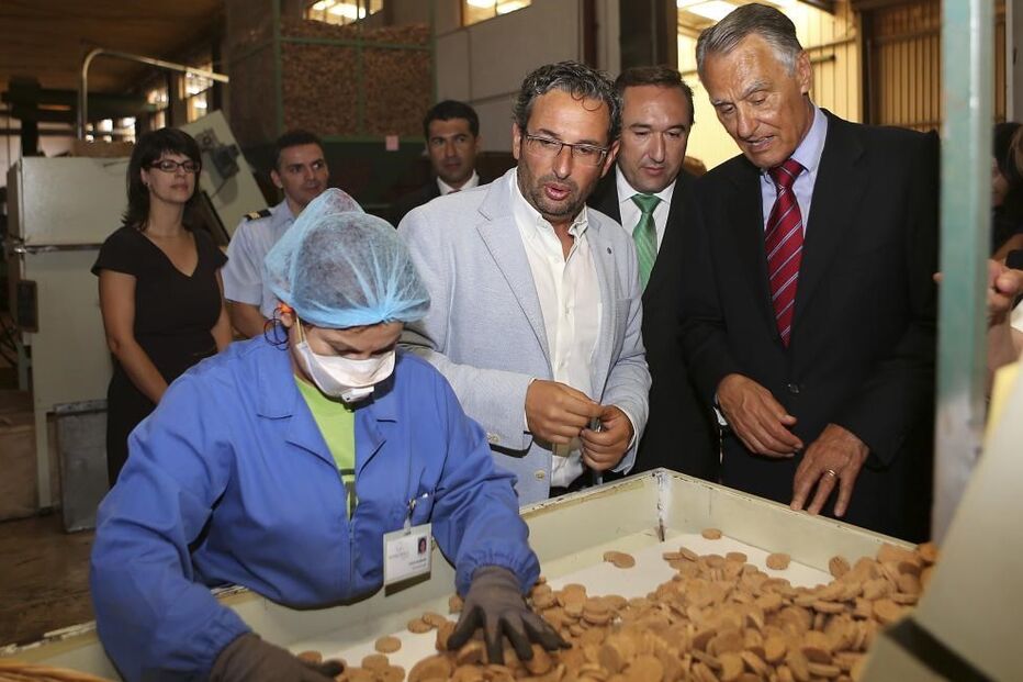 Cavaco Silva, Presidente da República, eleições, legislativas, política