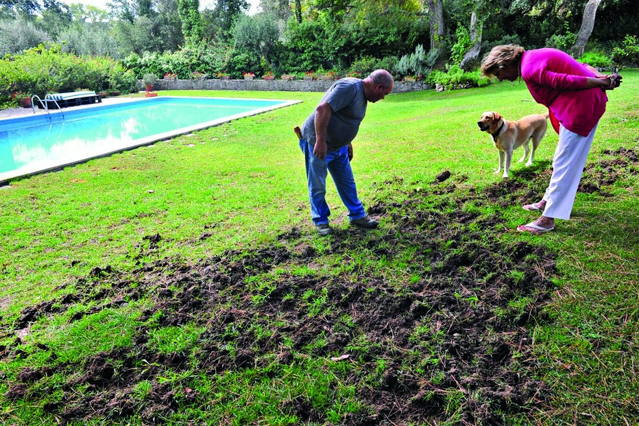 27-08-2015_22_42_26 Imagem 20a.jpg