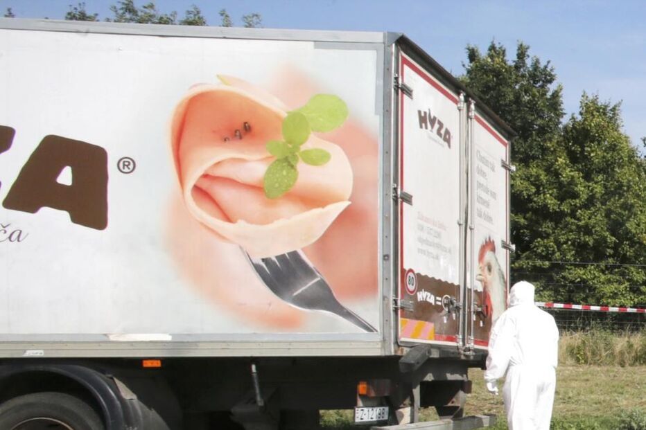 Áustria, camião, migrantes