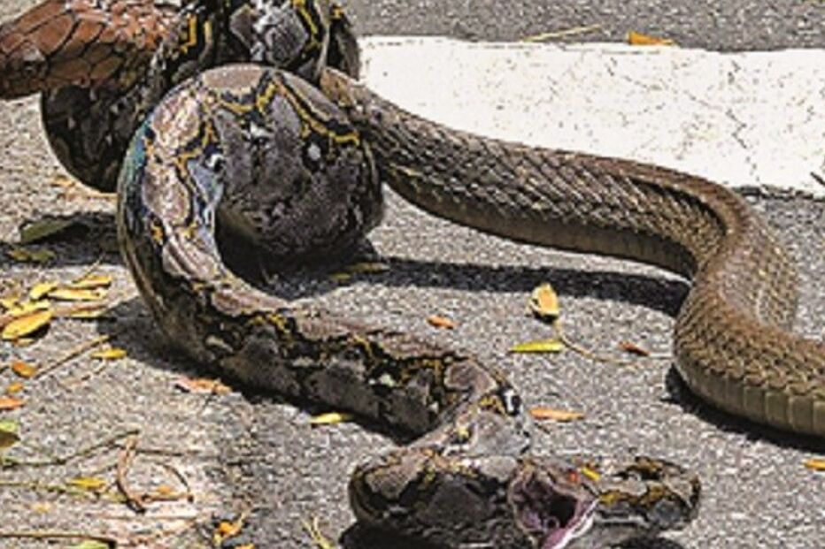 28-08-2015_23_06_13 Imagem 33y.jpg