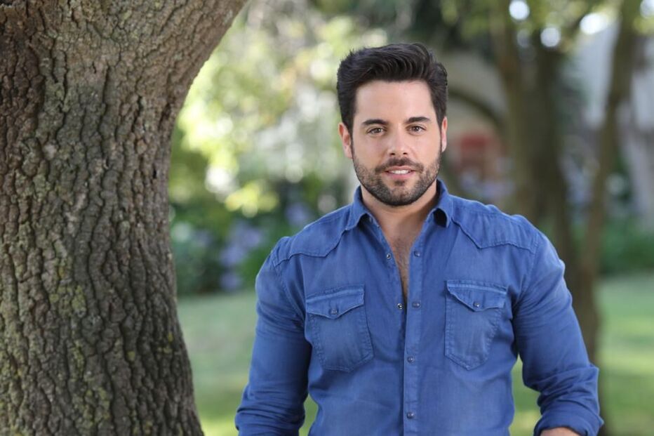 pedro carvalho, ator, brasil, novela