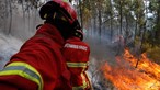 Detidas oito pessoas e 99 identificadas desde o início do ano por incêndio florestal