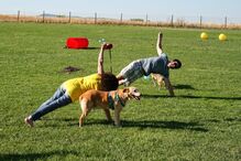 Animais de estimação, Pet Alternativa, Movimento Movido a 4 patas, Maya, Lisboa, Festival da Terra, cães