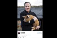 David Cameron, biografia, primeiro-ministro britânico, drogas