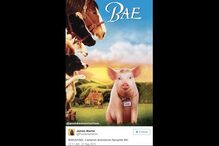 David Cameron, biografia, primeiro-ministro britânico, drogas