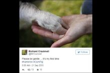 David Cameron, biografia, primeiro-ministro britânico, drogas