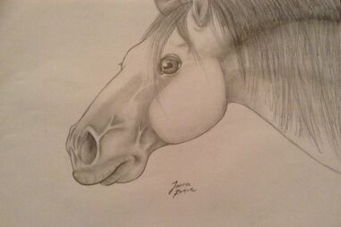 geração arte, ilustração, Joana Roque, xaquiro