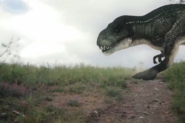 Curta de Henrique Gandum