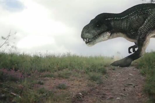 Curta de Henrique Gandum