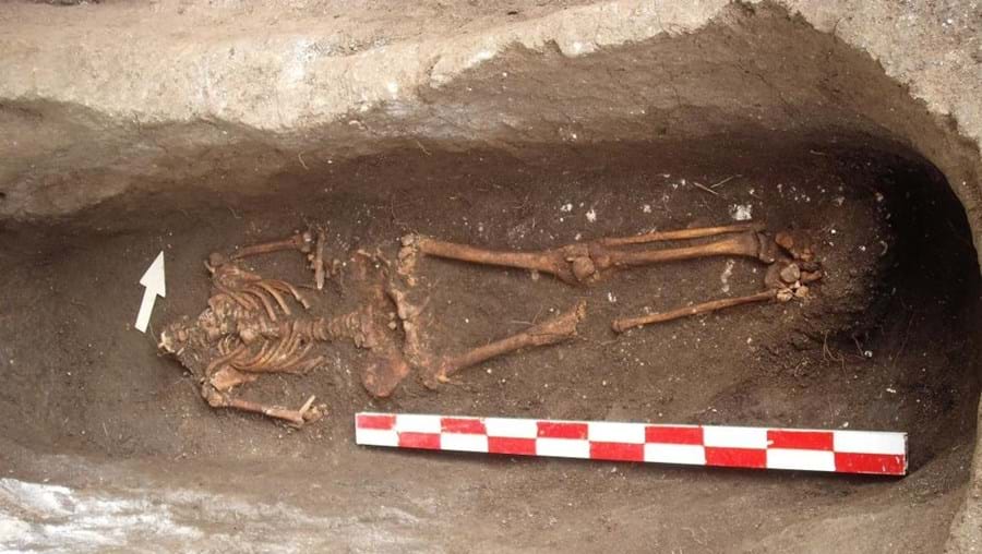 Esqueletos foram encontrados na Alemanha