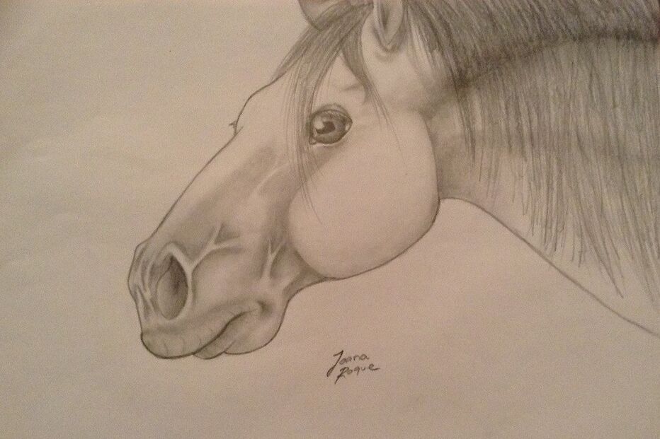 geração arte, ilustração, Joana Roque, xaquiro