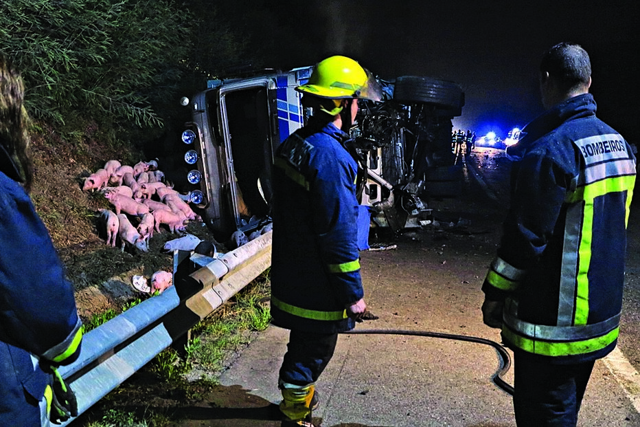 Colisão no IP3 desfaz família de político 