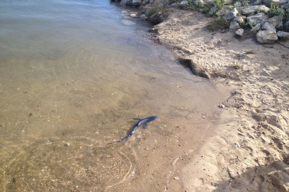 02-09-2015_11_25_27 10596033.JPG