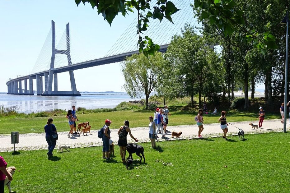 Animais de estimação, Pet Alternativa, Movimento Movido a 4 patas, Maya, Lisboa, Festival da Terra, cães