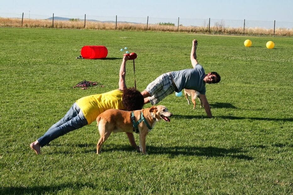 Animais de estimação, Pet Alternativa, Movimento Movido a 4 patas, Maya, Lisboa, Festival da Terra, cães