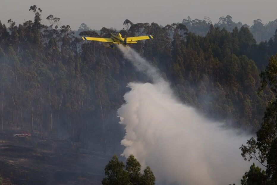Incêndio, Soure, Santo Izidro, Gesteira e Brunhós, bombeiros, Vinha da Rainha