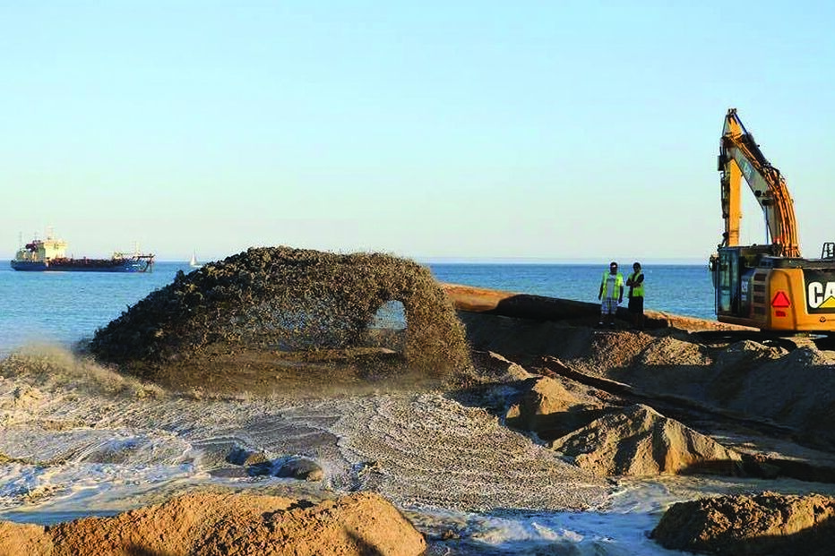 Obras na ria matam bivalves 