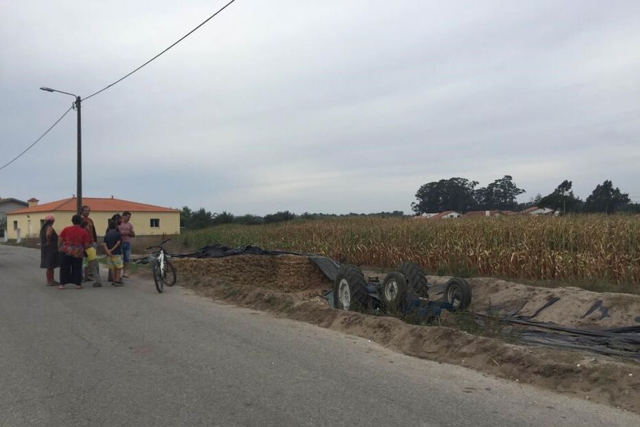 Pardilhó, Estarreja, questões sociais, morte