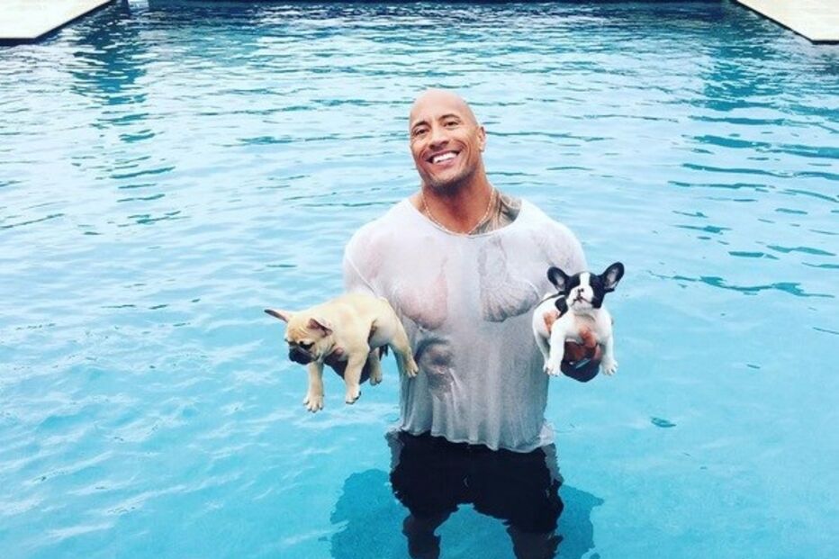 The Rock, Brutus, Hobbs, 