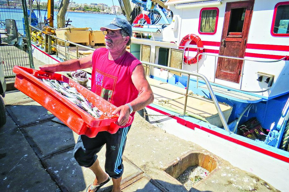 Sardinha acaba esta madrugada 