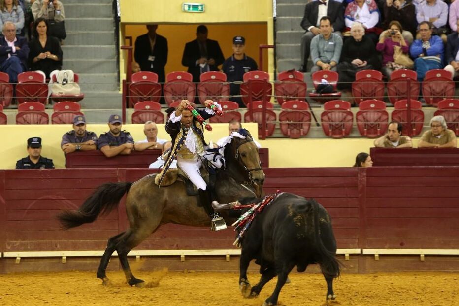 Joaquim Bastinhas, tauromaquia