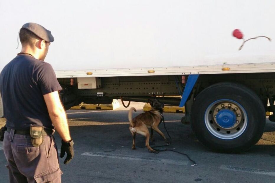 GNR, operação, Minerva, imigrantes ilegais, fronteira, Marrocos, Espanha