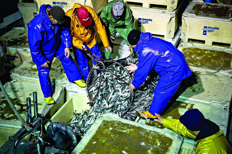 Quota esgotada preocupa setor 