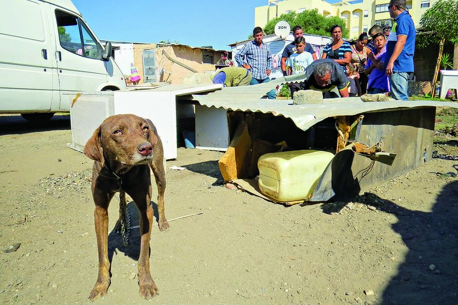 12-09-2015_02_49_34 Imagem Alg10a.jpg