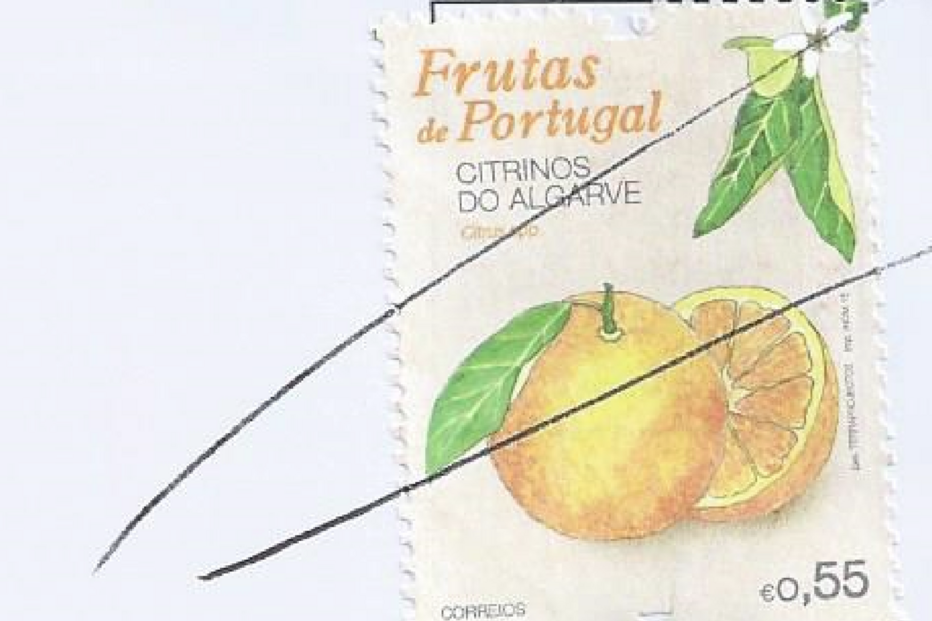14-09-2015_19_02_29 Selo citrinos.jpg