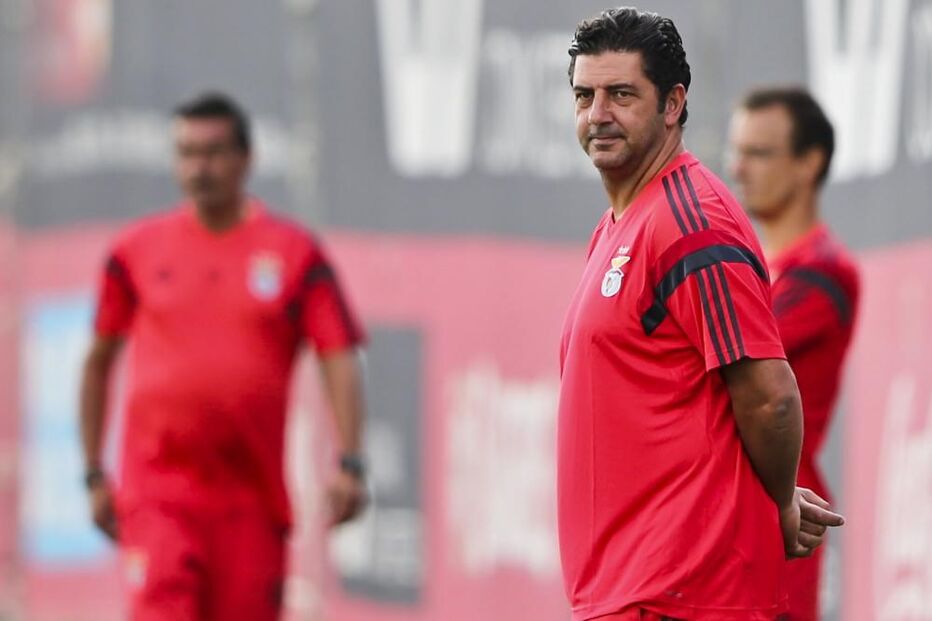 rui vitória
