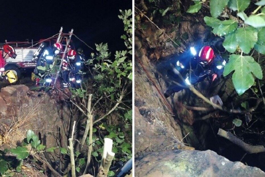 17-09-2015_22_51_16 12 alg gata.jpg