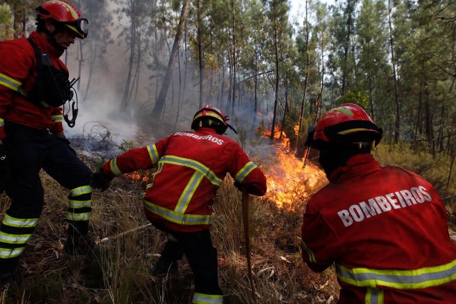 incêndio, floresta