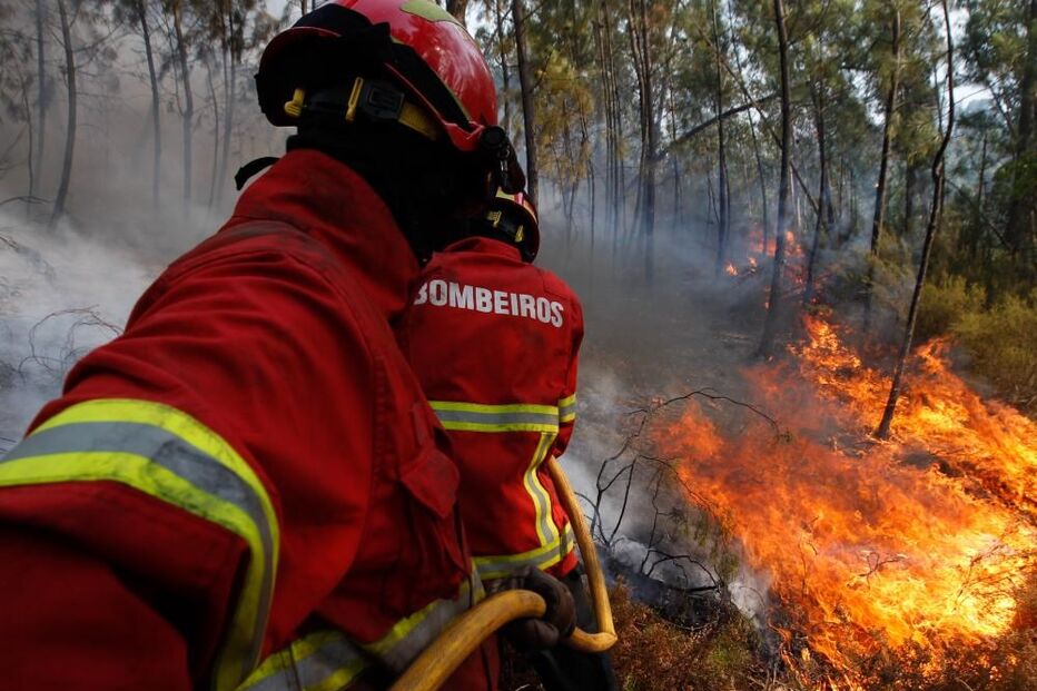 incêndio florestal