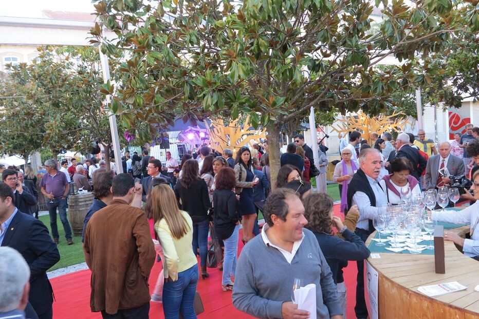 18-09-2015_22_42_44 21 vindimas.jpg