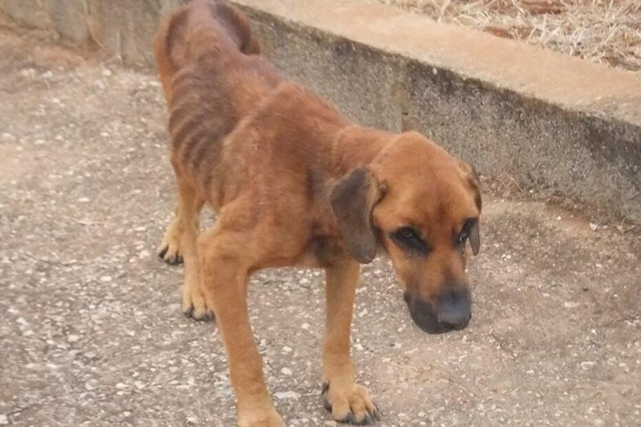 19-09-2015_13_04_20 10690154.jpg