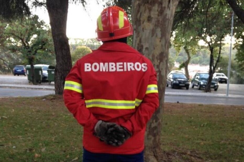 21-09-2015_05_15_24 8805819.JPG