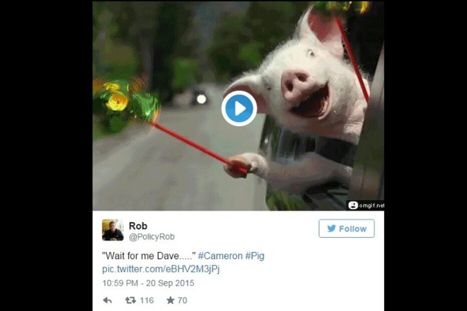 David Cameron, biografia, primeiro-ministro britânico, drogas