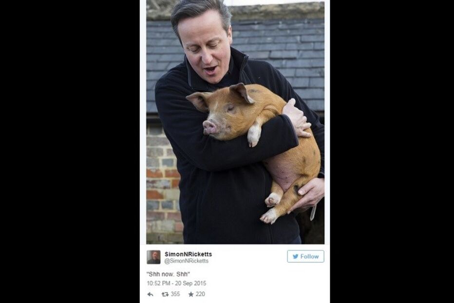 David Cameron, biografia, primeiro-ministro britânico, drogas