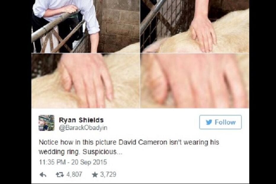 David Cameron, biografia, primeiro-ministro britânico, drogas